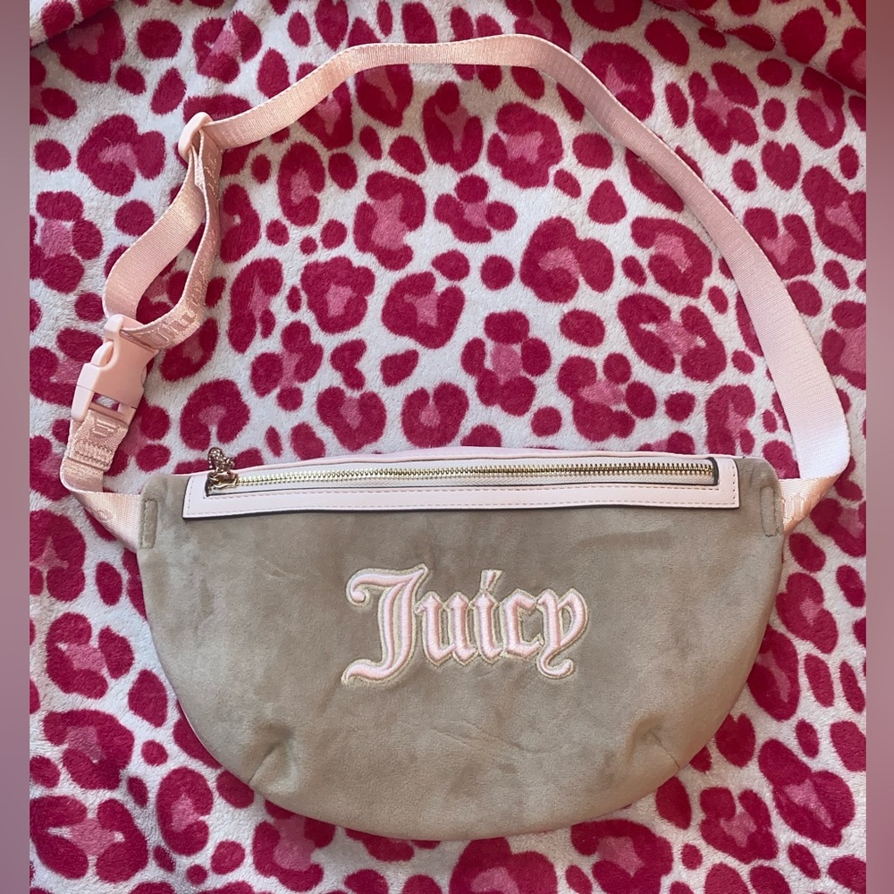 Juicy Couture bag